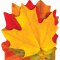 Colorful Leaves Discovery Note Pad B56-72201 