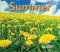 Summer [F27349]