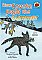 On My Own Folklore How Coyote Stole the Summer [M38482]