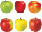 Classic Accents Variety Pack Apples Realistic [T10956]