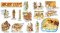 Ancient Civilization Bulletin Boards.Ancient Egypt [TF8037]