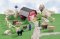 Shape (Funland Farm)