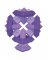 WEDGiTS Purple Set # 301518